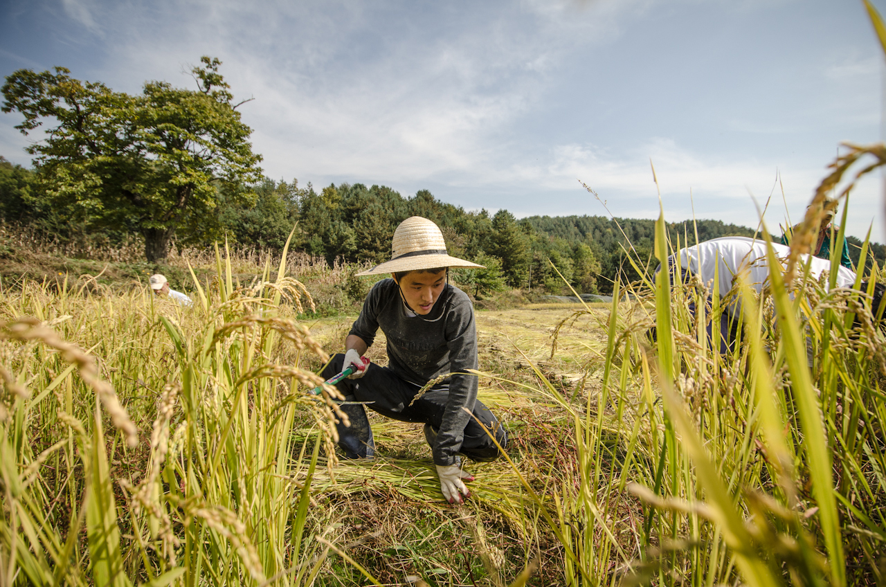 Farm Worker Outside