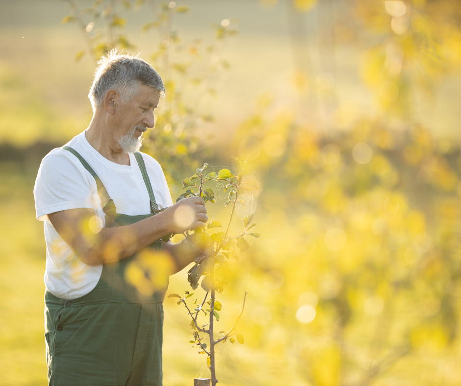 Most Common Worker Injuries In The Summer Months